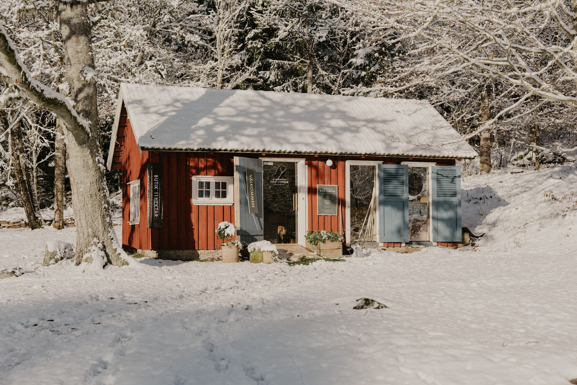 11hektars röda stuga och butik i snön