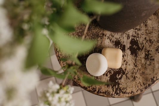 Botanical Dream Duo - Schampo & Balsam för normalt hår - 11hektar