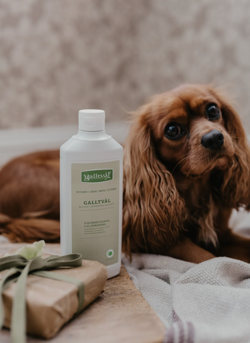 En hund med en flaska galltvål