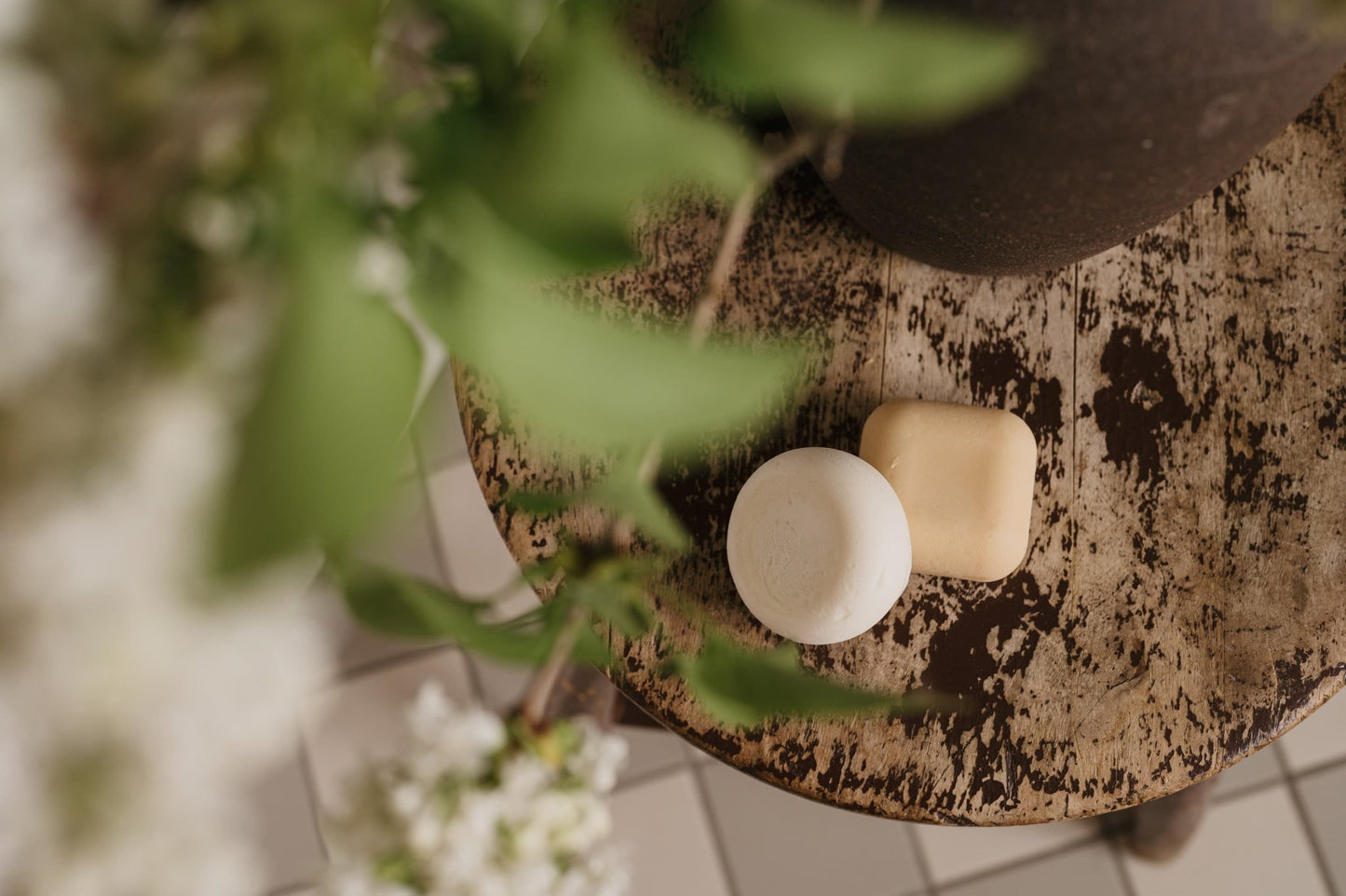 Botanical Dream Duo - Schampo & Balsam för normalt hår - 11hektar