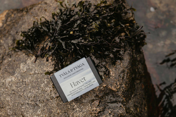Tvåla & Tvaga tvål Havet i förpackning bredvid tång